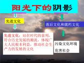 人教版 (新课标)高中政治必修3 4-8-2《在文化生活中选择》课件