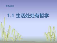 高中政治 (道德与法治)人教版 (新课标)必修4 生活与哲学生活处处有哲学课文课件ppt