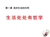 人教版 (新课标)必修4 生活与哲学生活处处有哲学教学课件ppt