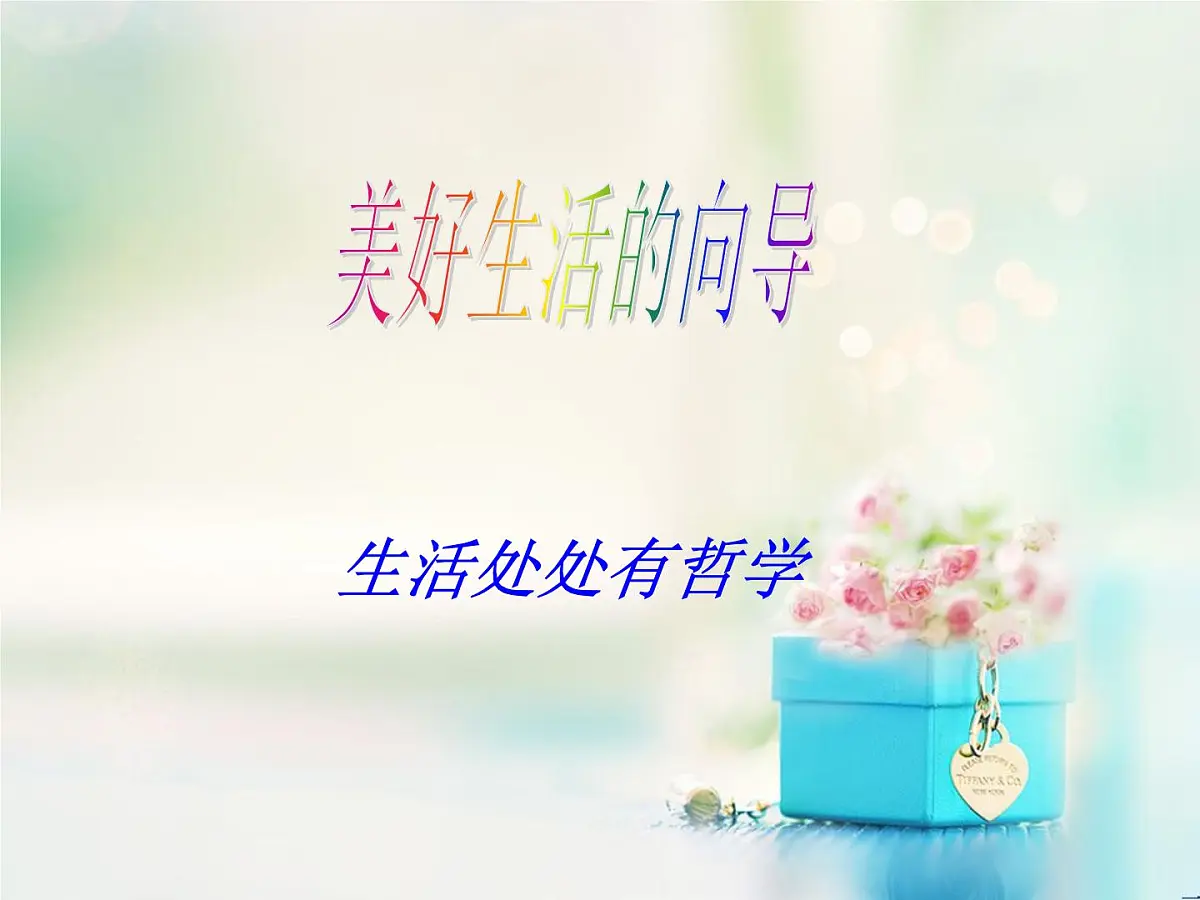 人教版 (新课标)高中政治必修4 1-1-1《生活处处有哲学》课件第4页