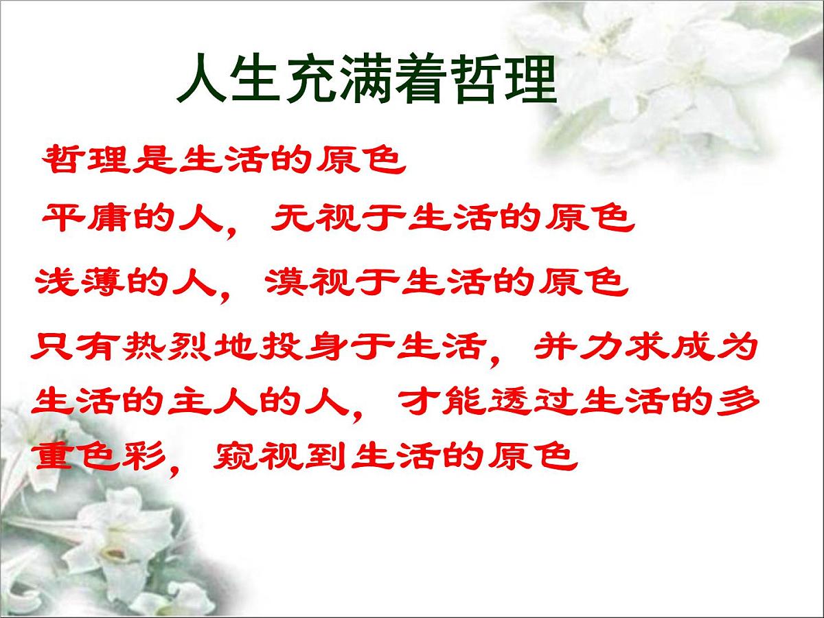 人教版 (新课标)高中政治必修4 第一单元《综合探究__走进哲学问辩人生》课件第6页