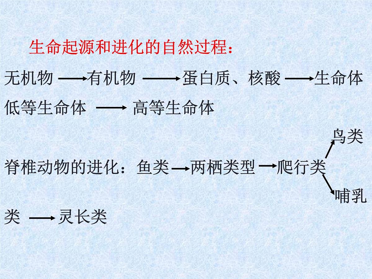 人教版 (新课标)高中政治必修4 2-4-1课件-《世界的物质性》第7页