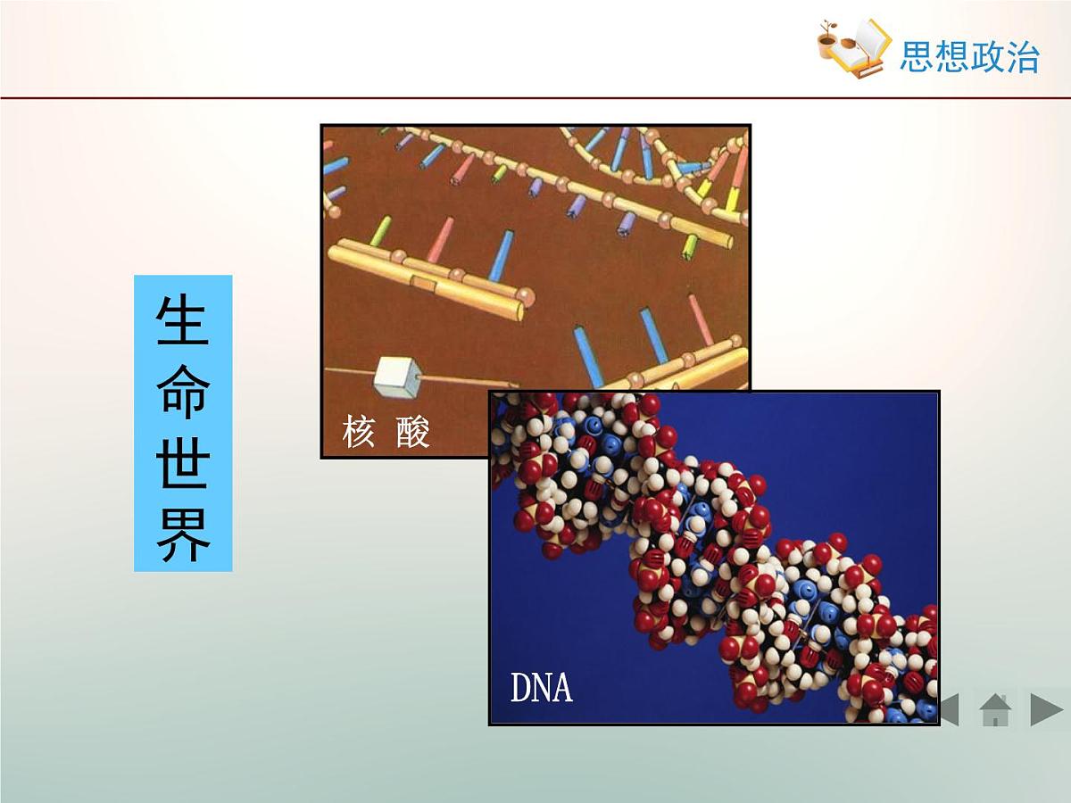 人教版 (新课标)高中政治必修4 2-4-1《世界的物质性》新知探究型课件第6页