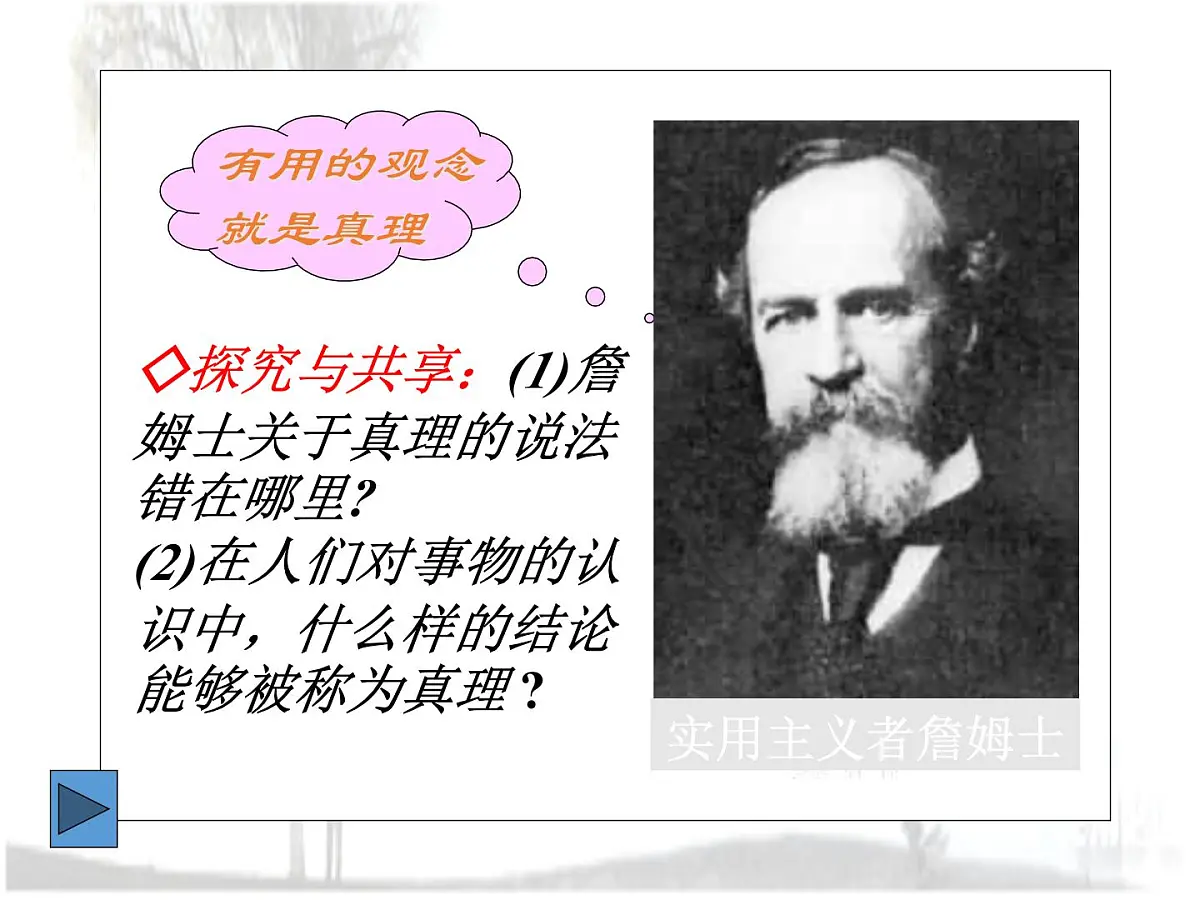人教版 (新课标)高中政治必修4 2-6-2《在实践中追求和发展真理》课件第2页