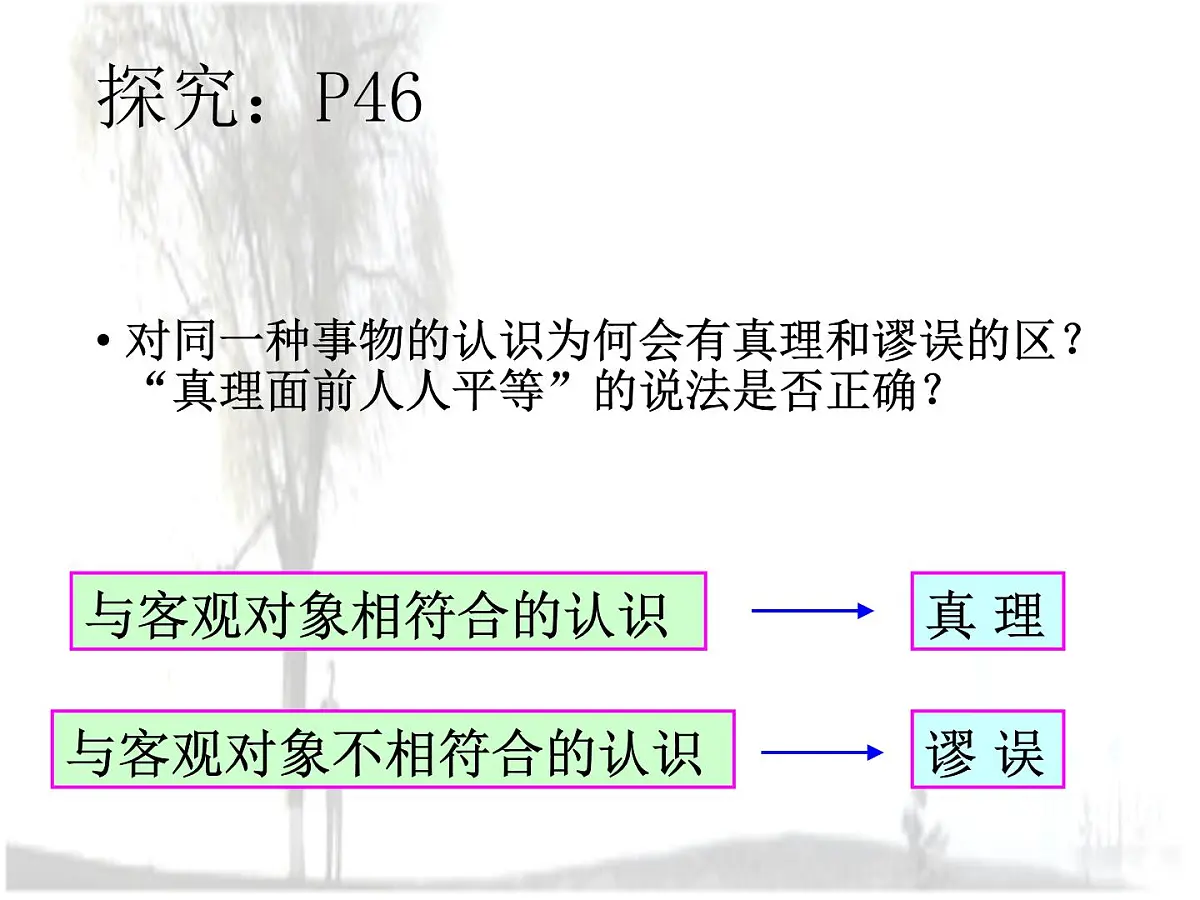 人教版 (新课标)高中政治必修4 2-6-2《在实践中追求和发展真理》课件第3页