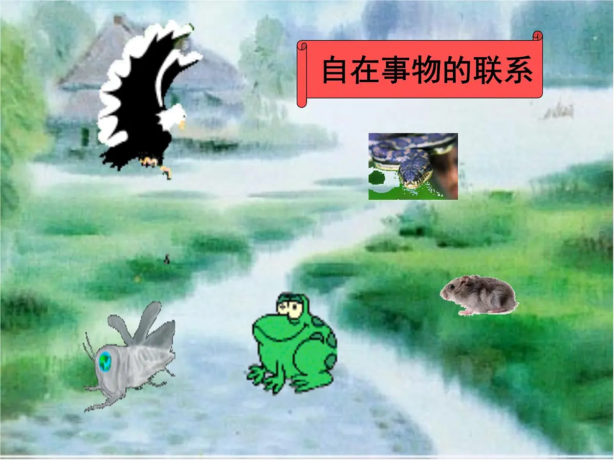 人教版 (新课标)高中政治必修4 3-7-1《世界是普遍联系的》新课讲知课件第8页