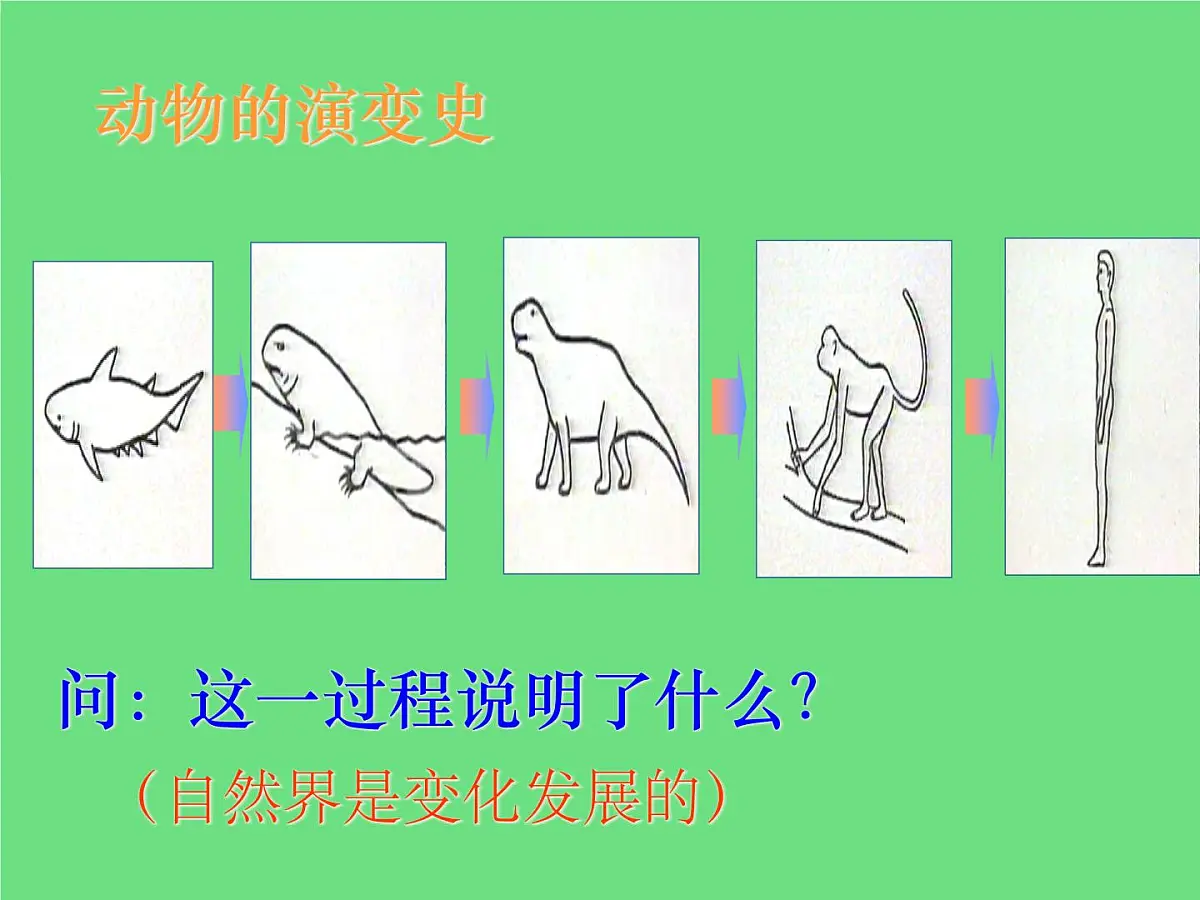 人教版 (新课标)高中政治必修4 3-8-1课件-《世界是永恒发展的》第6页