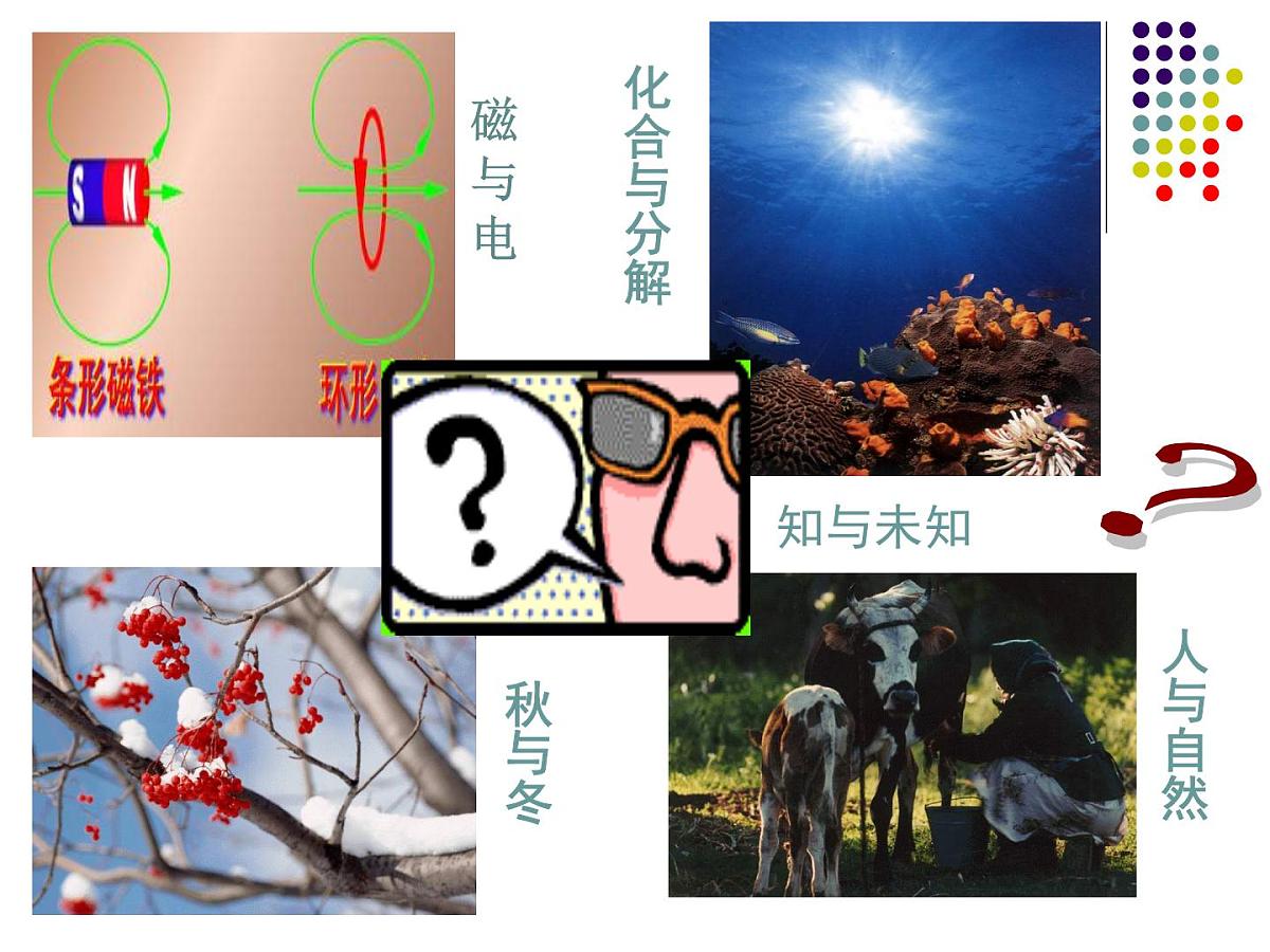 人教版 (新课标)高中政治必修4 3-9-1《矛盾是事物发展的源泉和动力》新课讲知课件第5页