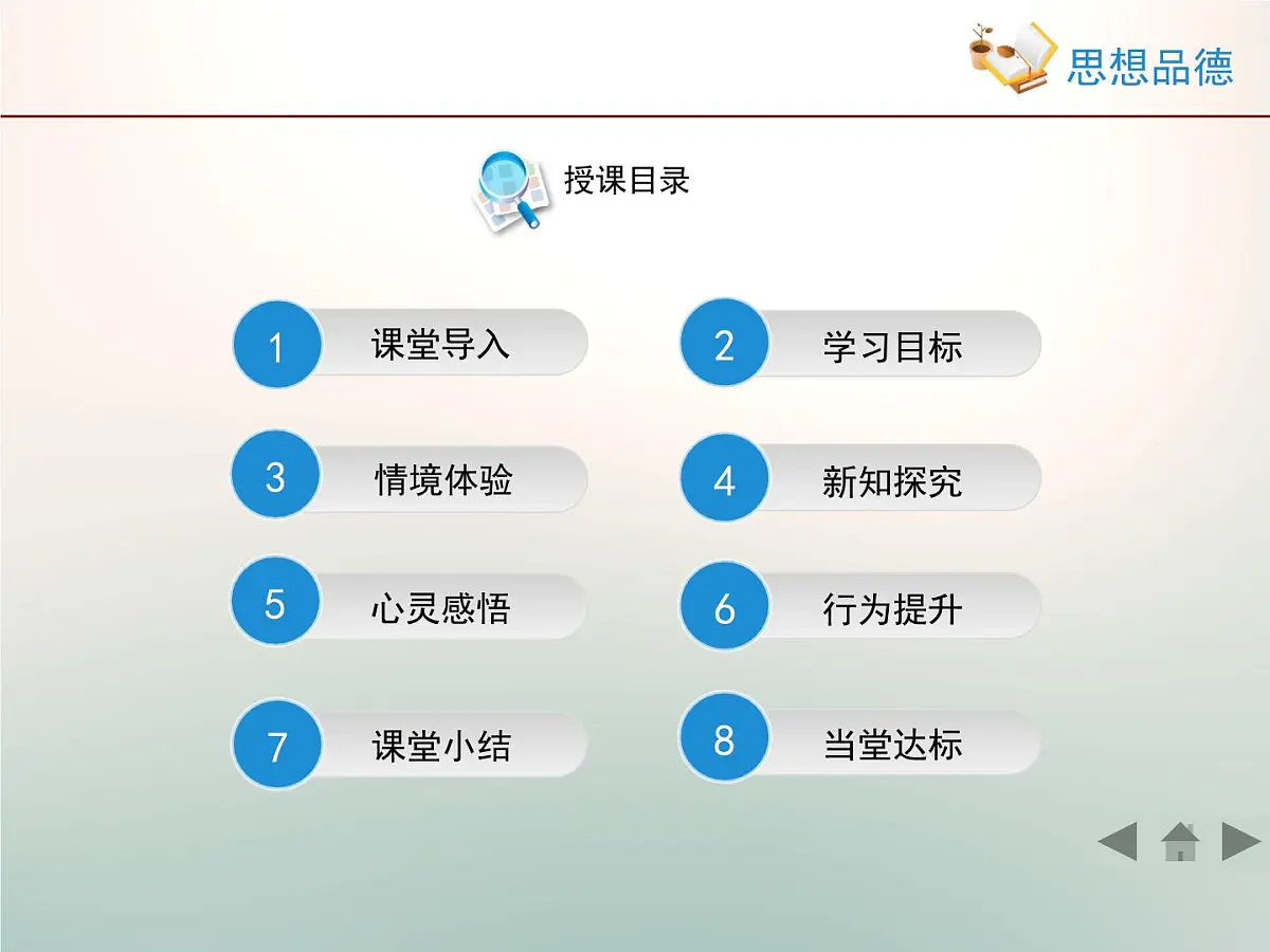 人教版 (新课标)高中政治必修4 4-12-1《价值与价值观》情境探究型课件第3页