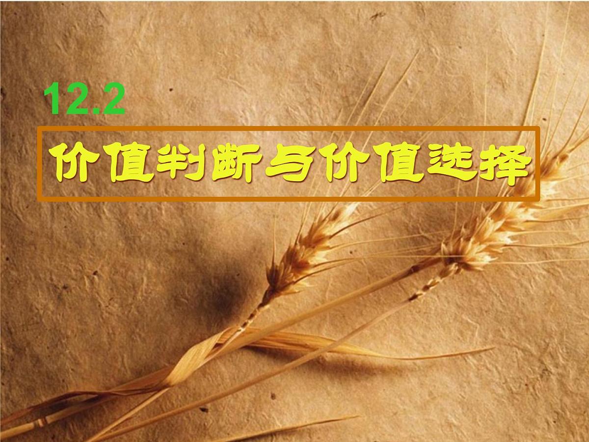 人教版 (新课标)高中政治必修4 4-12-2课件-《价值判断与价值选择》第1页