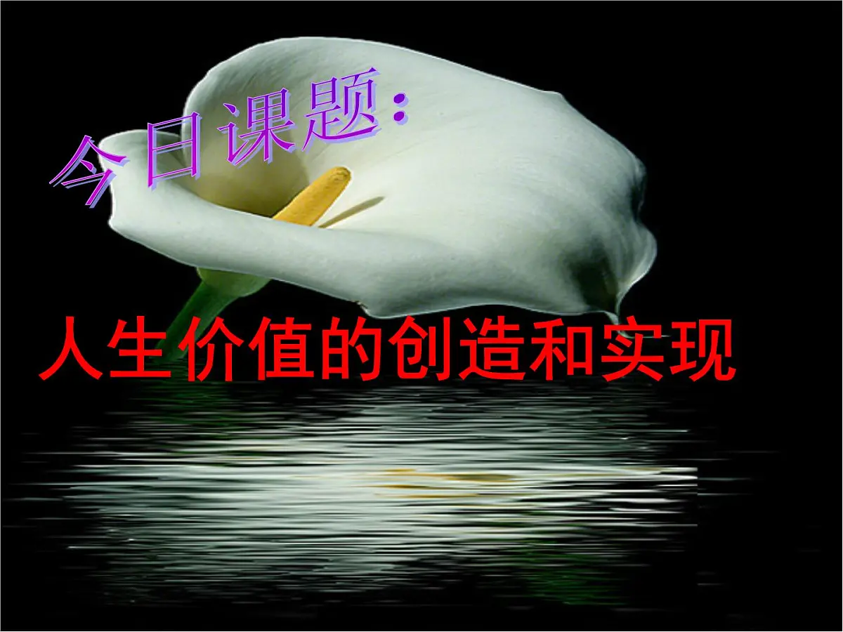 人教版 (新课标)高中政治必修4 4-12-3《价值的创造与实现》基础导学课件第2页