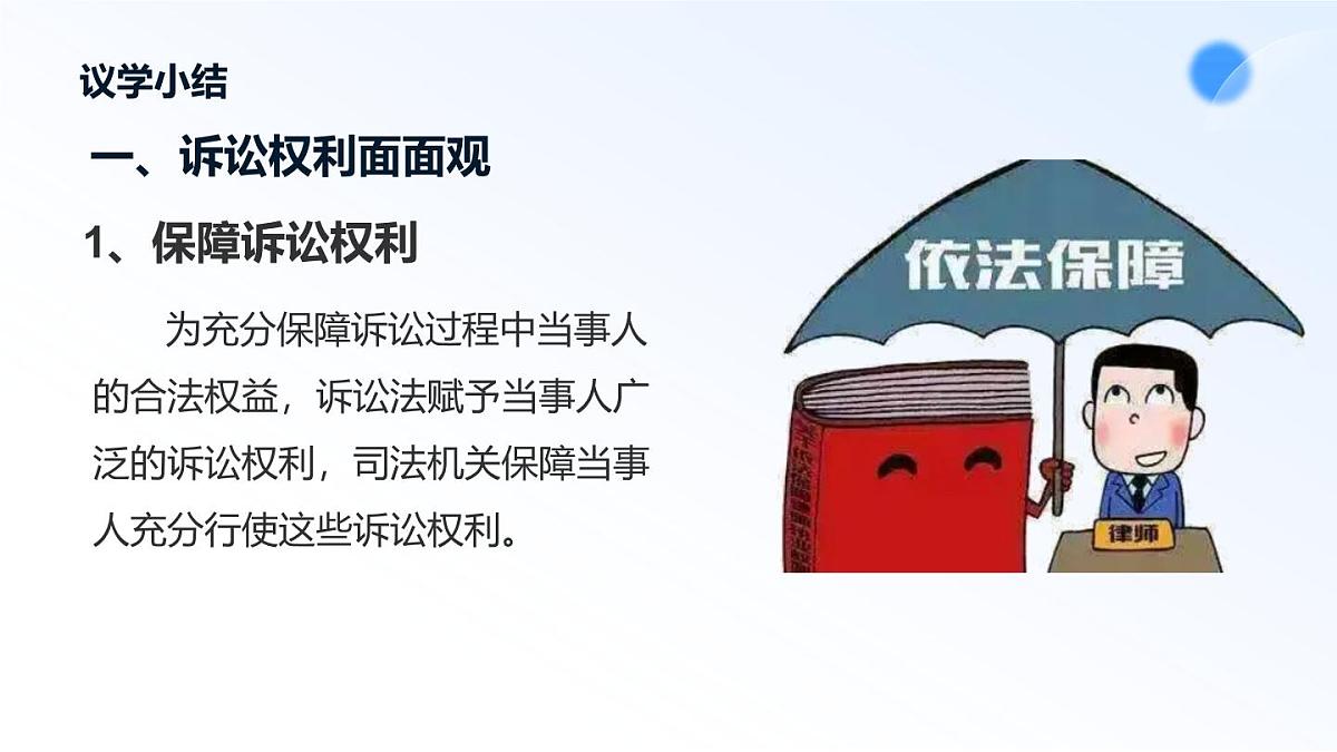 10.1正确行使诉讼权利第8页