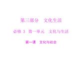 人教版 (新课标)高中政治必修3 1-1文化与社会复习课件