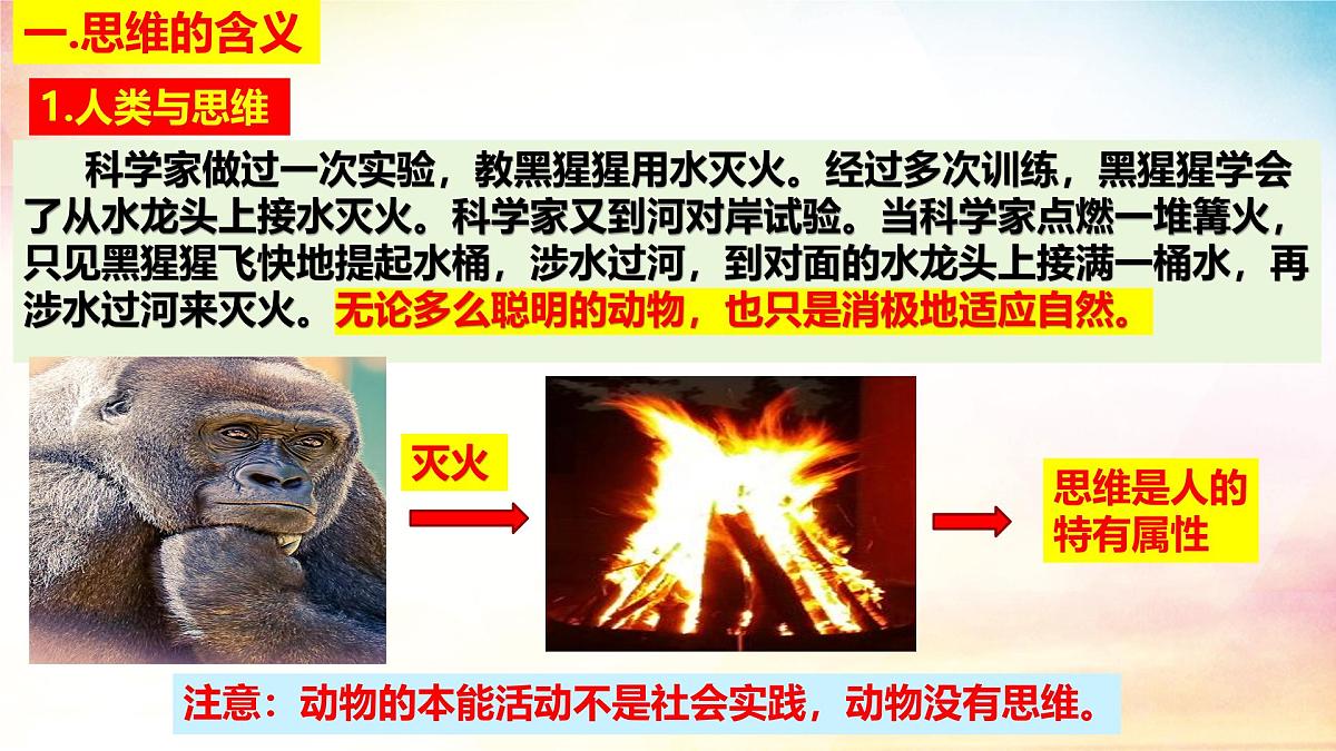 1.1 思维的含义与特征（同步课 件）-2024-2025学年高中政治《逻辑与思维》（统编版选择性必修3）课件PPT第3页