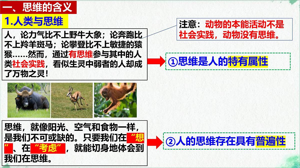 1.1 思维的含义与特征（课 件）-2024-2025学年高中政治《逻辑与思维》（统编版选择性必修3）课件PPT第5页