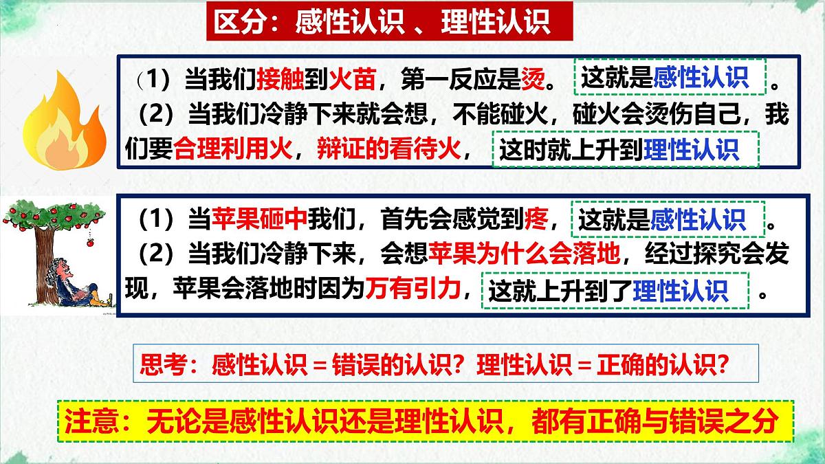1.1 思维的含义与特征（课 件）-2024-2025学年高中政治《逻辑与思维》（统编版选择性必修3）课件PPT第8页