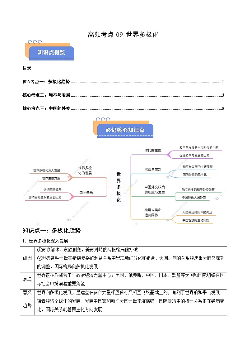 2025年高考政治（黑吉辽蒙专用）高频考点09世界多极化练习第1页