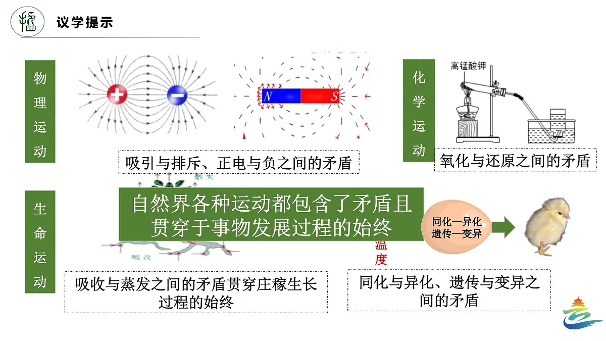 人教统编版高中政治必修四3.3.2矛盾问题的精髓（课件+视频）第8页
