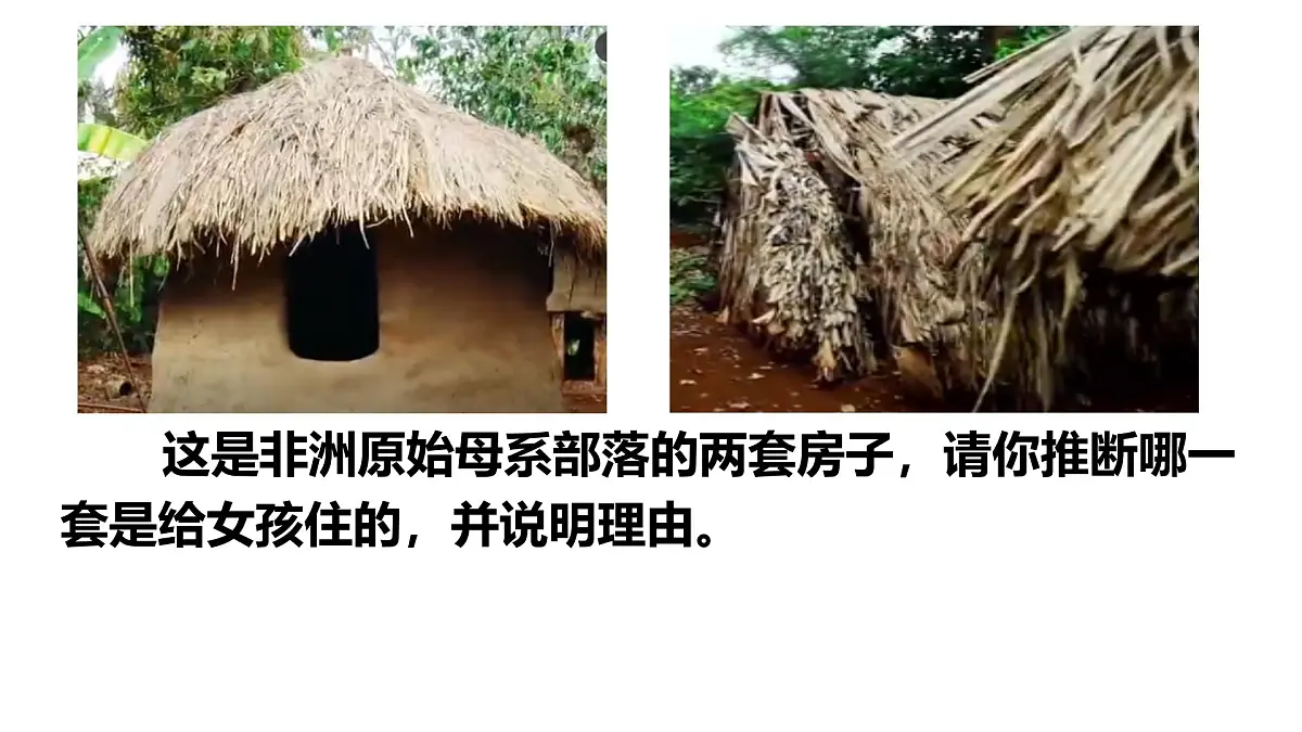 统编版高中政治必修一 1.12从封建社会到资本主义社会 课件 内嵌视频第1页