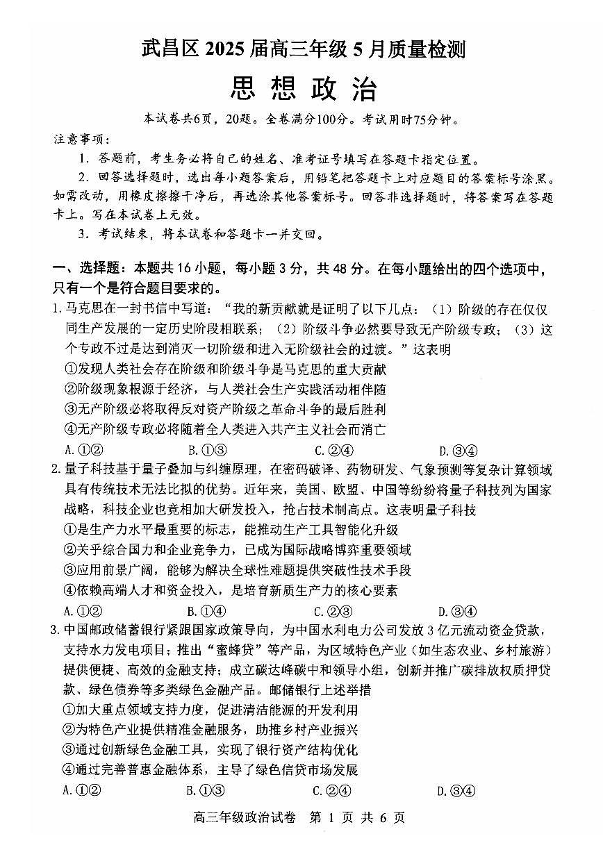 湖北省武汉市武昌区2025届高三下学期5月质量检测-政治试题+答案第1页