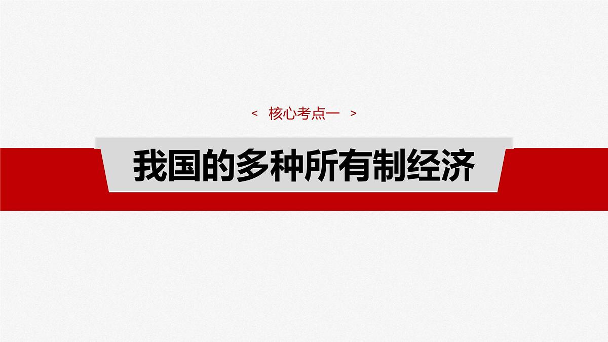 2025届高考政治一轮复习课件：必修2 第五课　课时二　多种所有制经济共同发展第4页