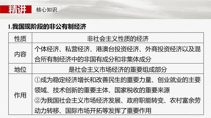 2025届高考政治一轮复习课件：必修2 第五课　课时二　多种所有制经济共同发展第5页