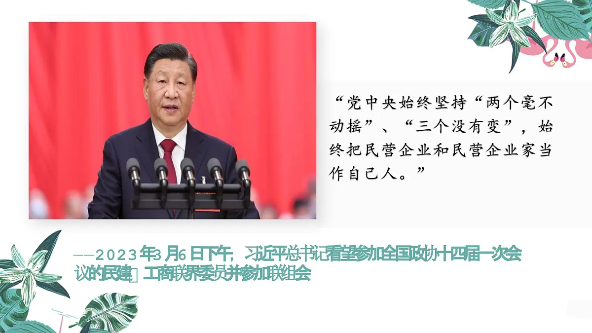 专题复习 正确引导民营经济健康发展课件-2026届高考政治一轮专题复习第2页