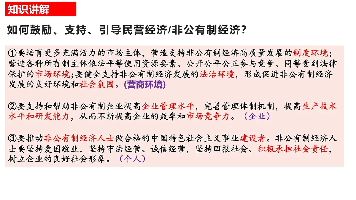 专题复习 正确引导民营经济健康发展课件-2026届高考政治一轮专题复习第5页
