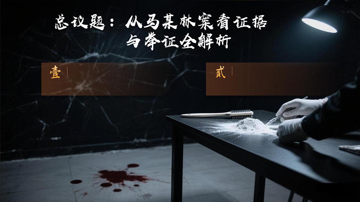 10.3依法收集运用证据  课件   统编版高中政治选择性必修二《法律与生活》第4页