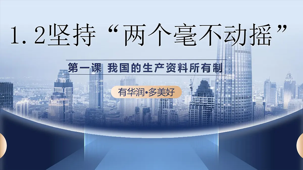 1.2坚持“两个毫不动摇” 课件 统编版高中政治必修二 经济与生活第3页
