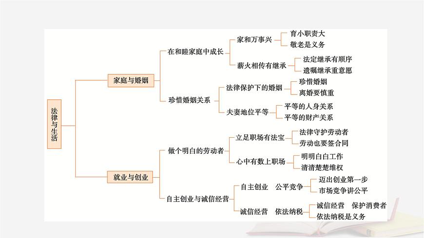 2026届高考政治一轮总复习选择性必修2法律与生活阶段性整合提升七法律与生活课件第5页