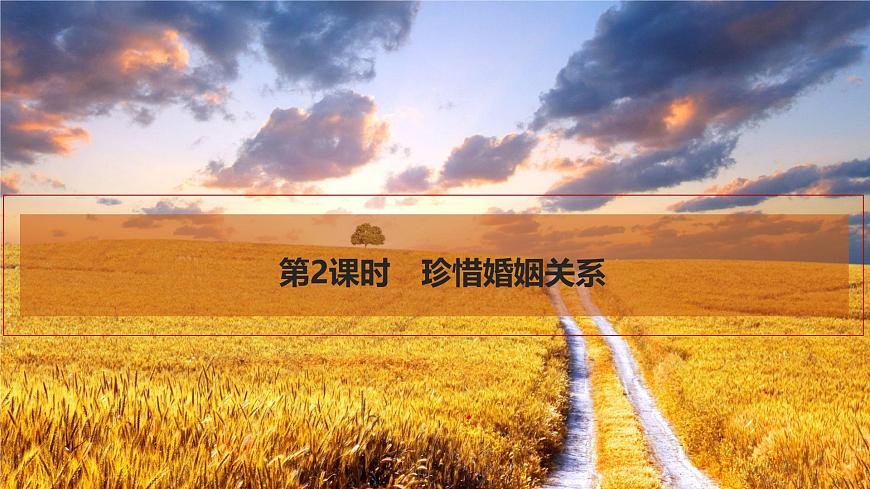 2026届高三政治高考总复习创新设计课件复习讲义第三十一课 家庭与婚姻 第2课时 珍惜婚姻关系第1页