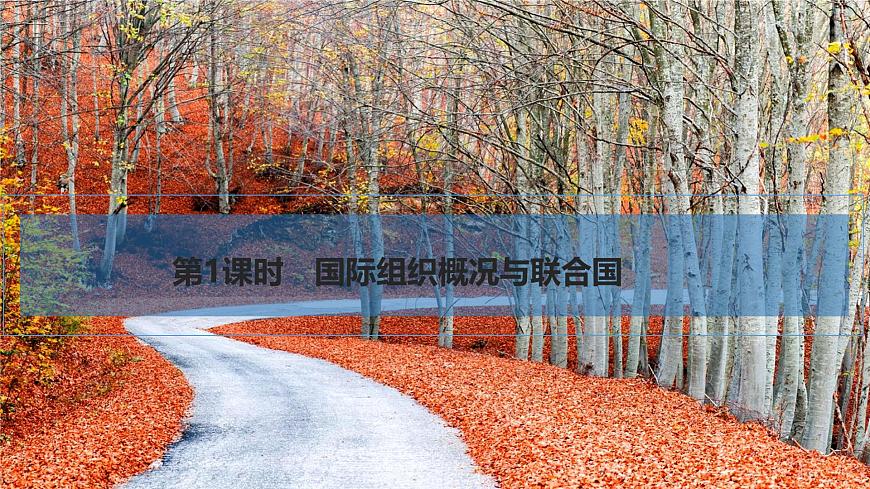 2026届高三政治高考总复习创新设计课件复习讲义第二十九课 国际组织 第1课时 国际组织概况与联合国第5页