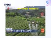 人教統(tǒng)編版高一政治選必三10.1不作簡單肯定或否定（課件+視頻）