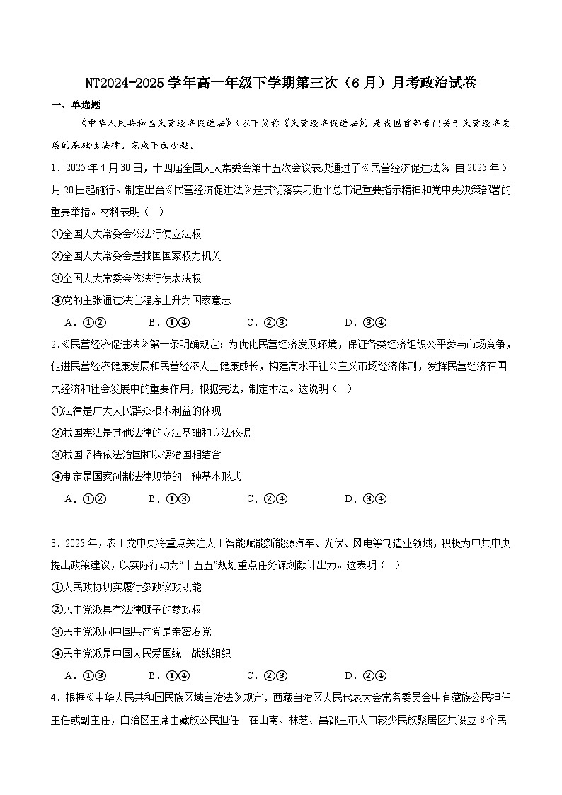 河北省石家庄市NT联考2024-2025学年高一下学期6月阶段测试政治试卷第1页