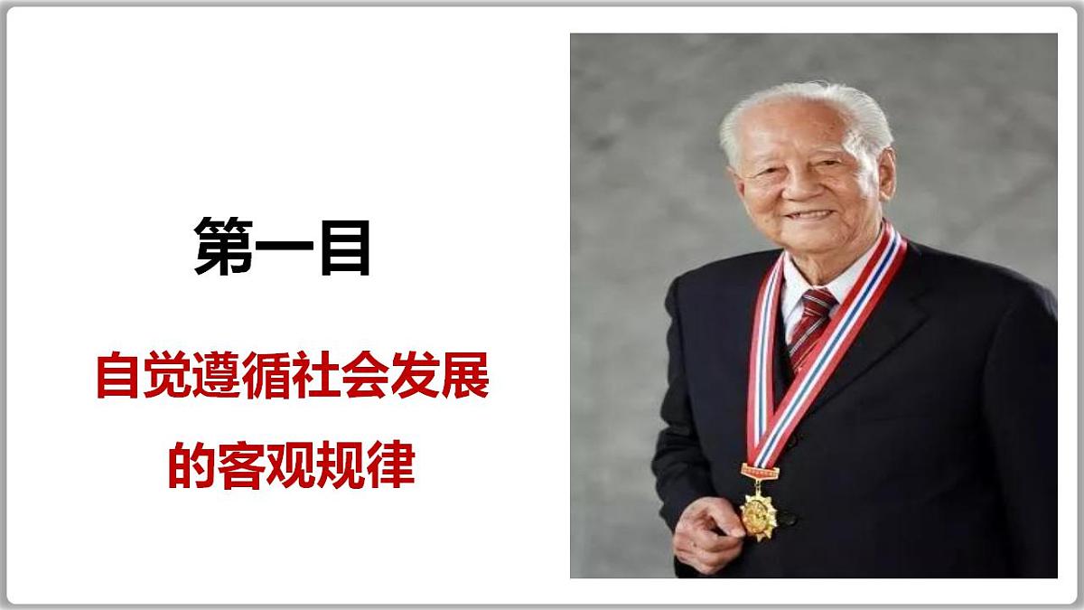 17844553第7页