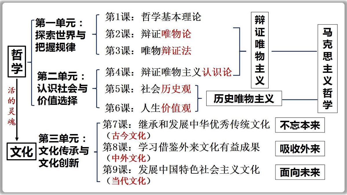 17844555第5页