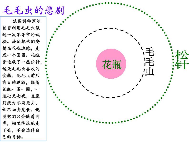 5.2意识的作用 课件05