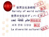 3.1 世界文化的多样性 课件
