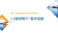 人教统编版必修2 经济与社会坚持“两个毫不动摇”完美版课件ppt