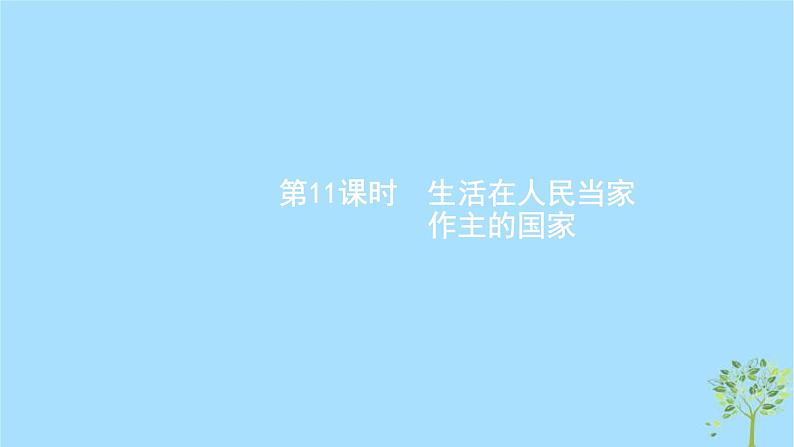 (浙江专用)2020版高考政治一轮优化复习课件11生活在人民当家作主的国家(含答案)02