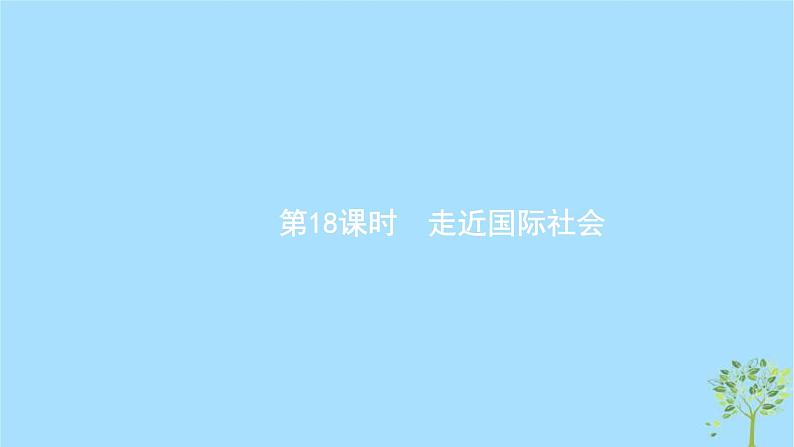 (浙江专用)2020版高考政治一轮优化复习课件18走近国际社会(含答案)01