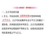 （新教材）2020版政治人教版必修三课件：3.9.3公正司法 课件（18张）