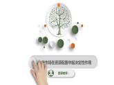 人教统编版思想政治必修2第二课第1框：使市场在资源配置中起决定作用（课件）