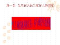 政治思品必修2 政治生活2 民族区域自治制度：适合国情的基本政治制度教课内容课件ppt