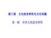 高中政治必修三课件：第二单元第三课第一框世界文化的多样性