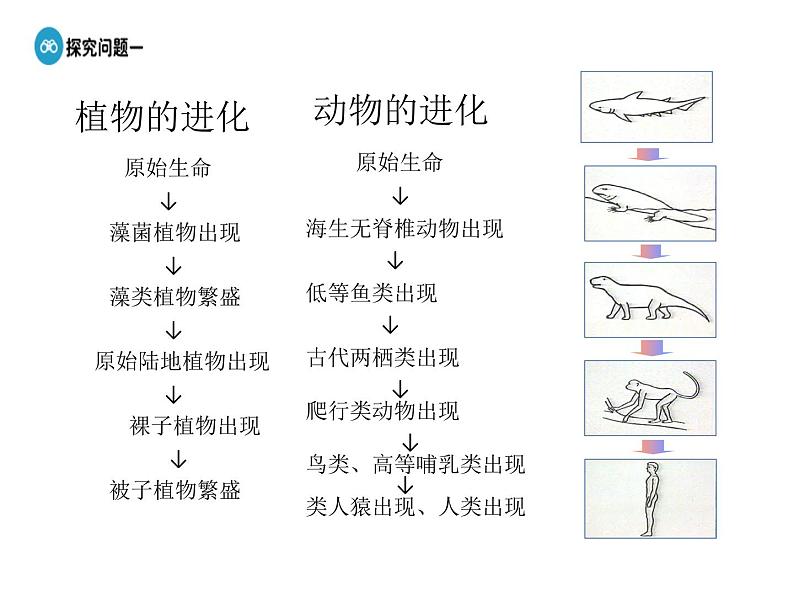 高中人教版政治必修四课件：第八课 第一框《世界是永恒发展的》06