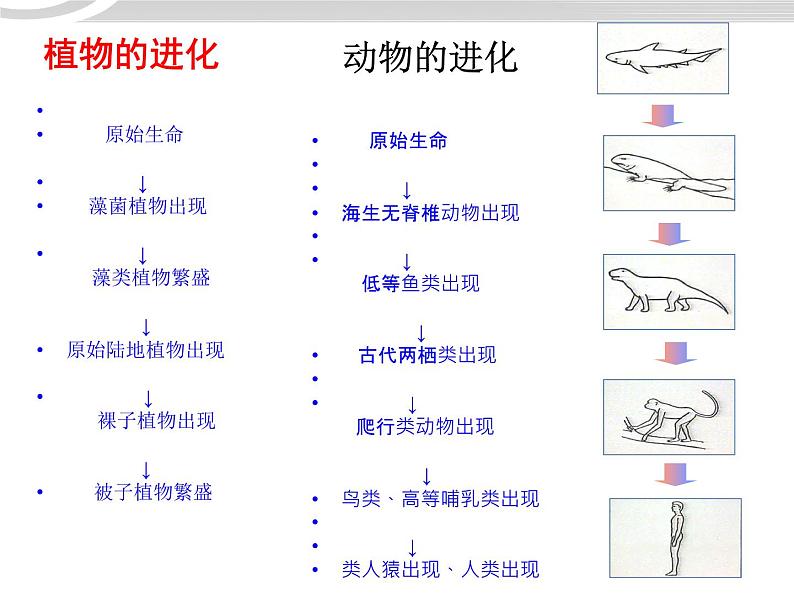 高二政治 3.8.1世界是永恒发展的课件 新人教必修407