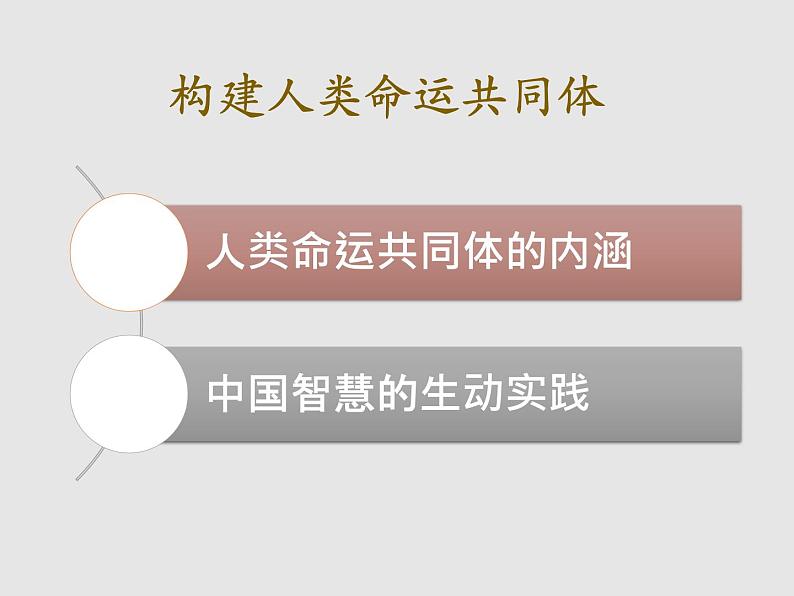 5.2+构建人类命运共同体 课件第3页