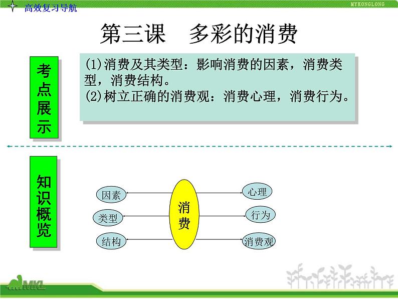 人教版高中政治复习课件：1-1.3多彩的消费第3页